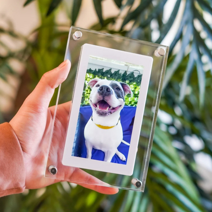 MemoryFrame | Herbeleef je mooiste momenten altijd